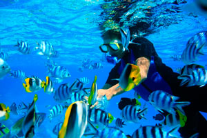 El buceador en Bora Bora