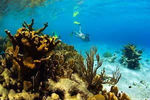Buceo en Cura�ao