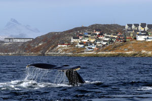 Iberocruceros inaugura nuevas rutas hacia Groenlandia e Islandia