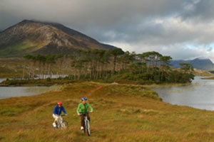 Deportes en Irlanda