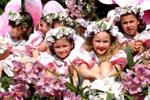Fiesta de las Flores Fiesta de las Flores