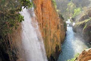 Monasterio de Piedra (Zaragoza) lanza su nueva web