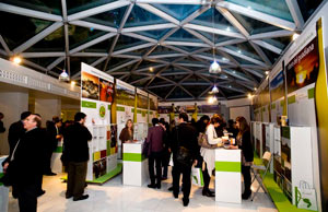 Las Rutas del Vino de Espa�a en Madrid