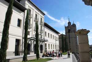 Museo Oiasso de Ir�n