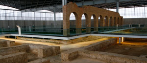 Villa Romana de la Olmeda