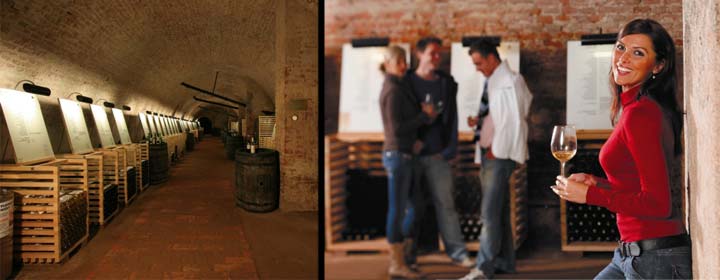 Salas de Exposici�n Nacional del Vino en el castillo de Valtice