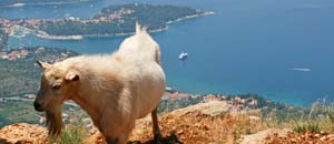 Vistas de Cavtat, al sur de la regi�n de Dubrovnik