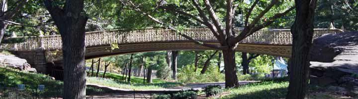 Central Park, el pulm�n de Nueva York