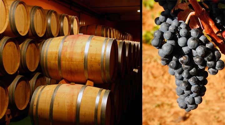 La Ruta del Vino de la Rioja Alavesa se integra dentro de las Rutas del Vino de Espa�a