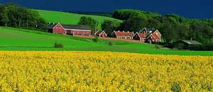Paisaje de Vejle