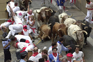 Mucha fiesta y algarab�a esperan al visitante en Navarra en una nueva edici�n de San Ferm�n