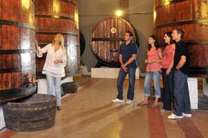 49.000 enoturistas visitan la Ruta del vino Somontano en 2010