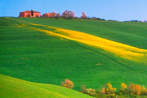 Viaje a la Toscana (Italia): calidad y exclusividad con esencia mediterr�nea