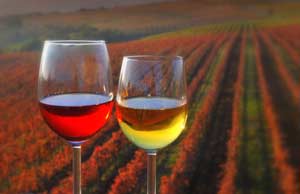 Vino esloveno